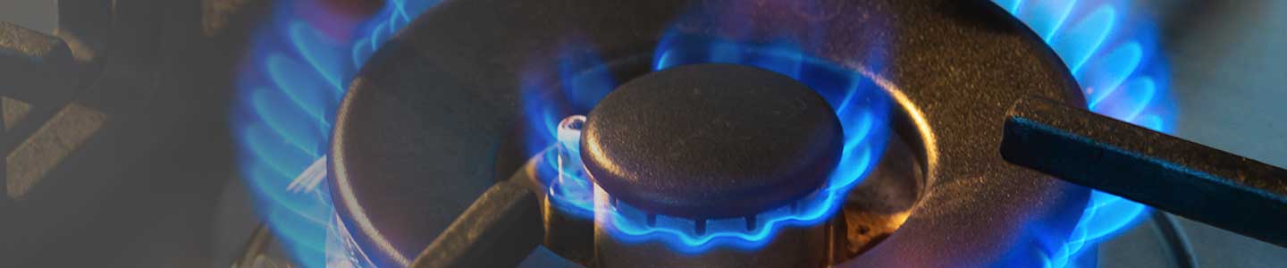 Gas stove burner