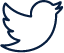 Twitter Icon